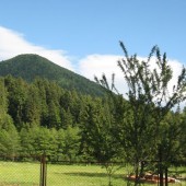 Natura la Băile Tuşnad-Természet Tusnádfürdő